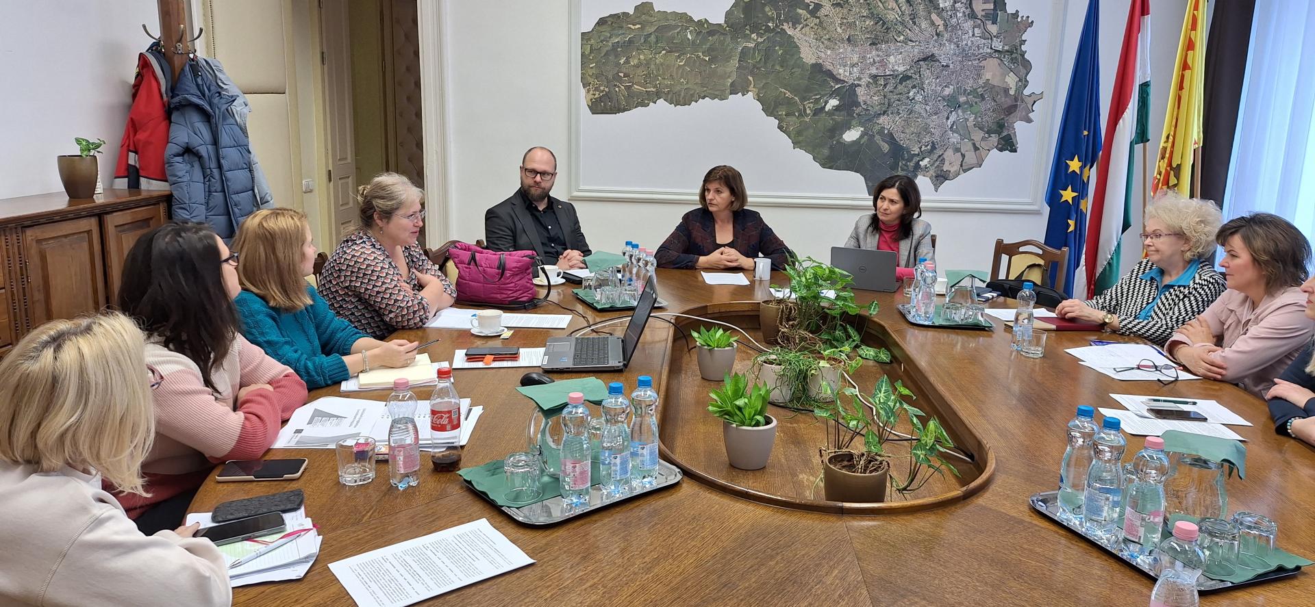 Meeting of the Social Innovation Council