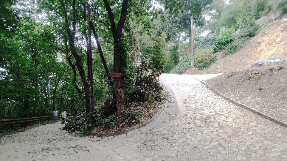 Organikus sétányok az Avastetőre