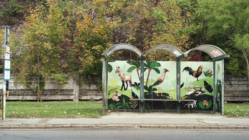 A buszváró, ahol mindnyájan a megoldásra várunk