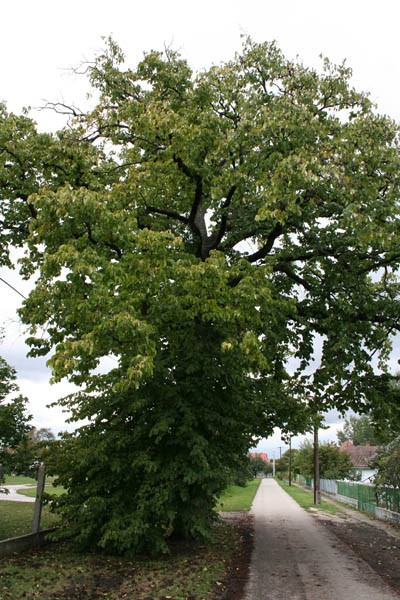 Forrás: geocaching.hu