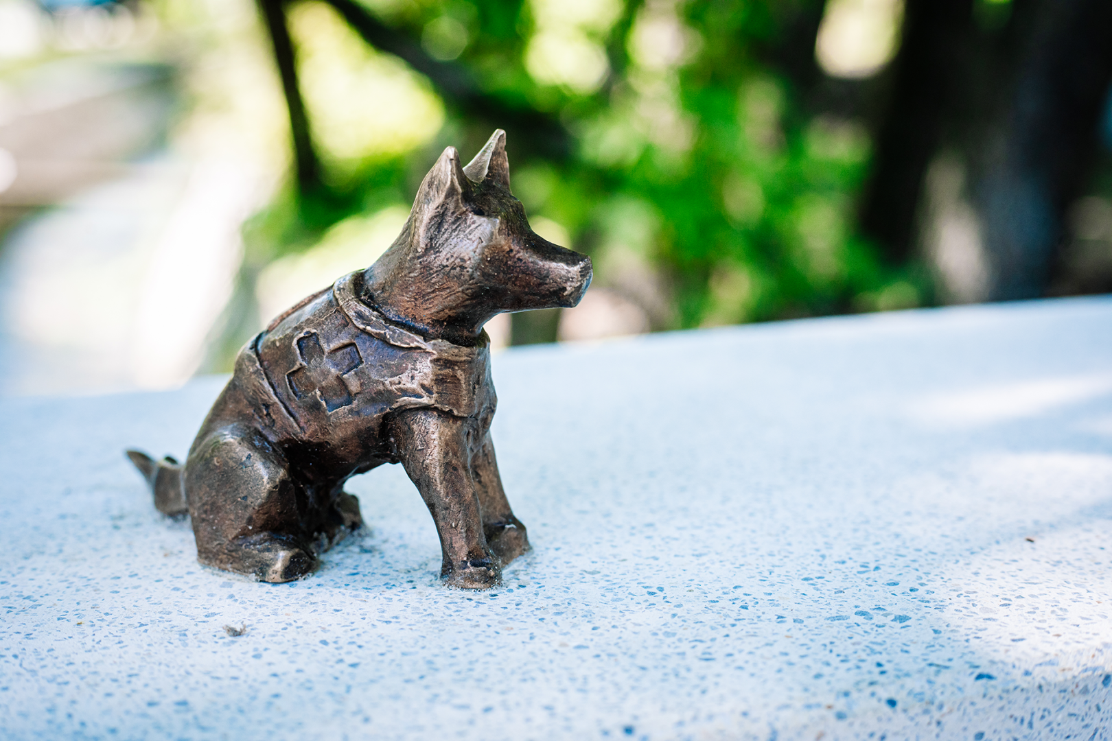 The German shepherd dog named Paw