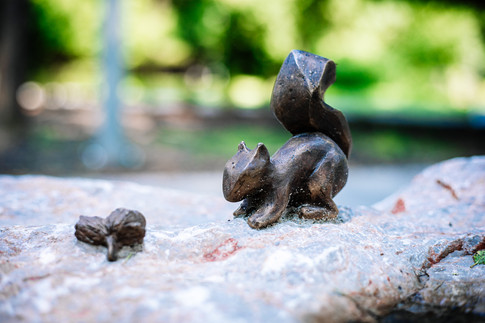 Squirrel with an acorn in his paws