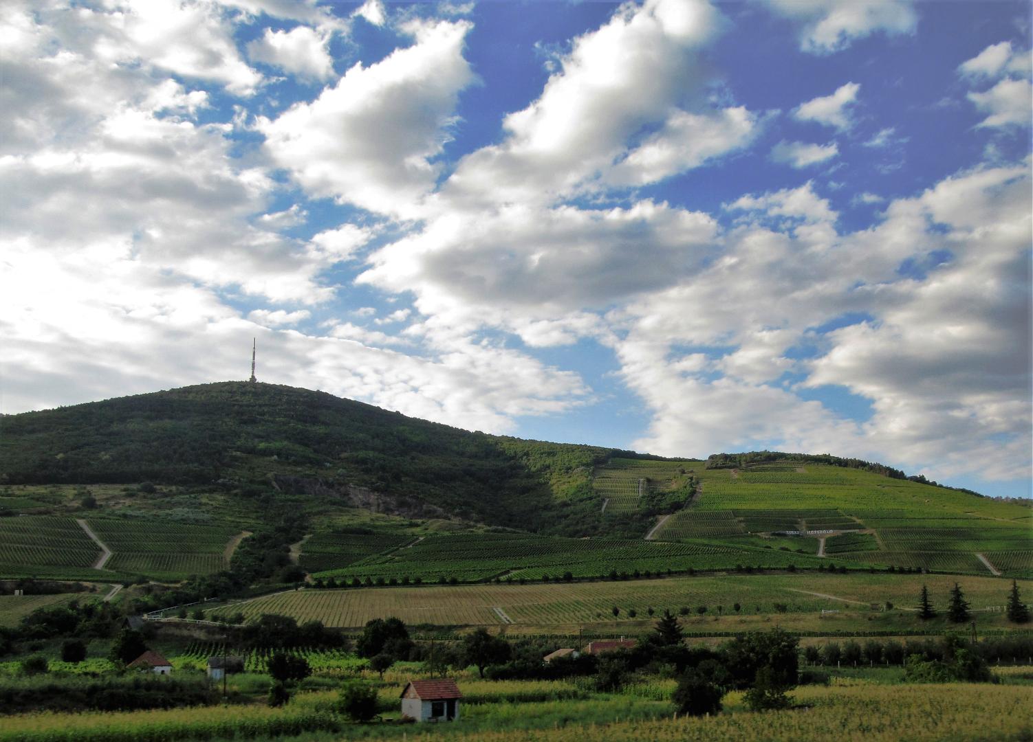 Tokaj-Hegyalja (Tokaj Hill)