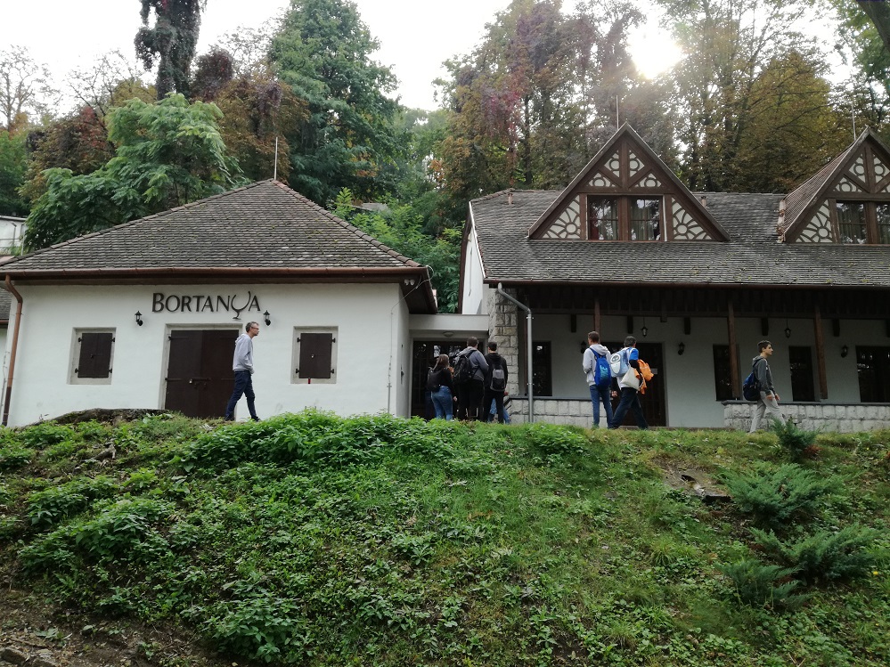 A városképet védjük, vagy „azt csinálunk, amit akarunk”?