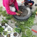 Társadalmi integrációt elősegítő beavatkozások a Vasgyárban