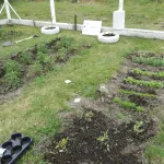 Társadalmi integrációt elősegítő beavatkozások a Vasgyárban