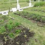 Társadalmi integrációt elősegítő beavatkozások a Vasgyárban