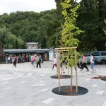 Zöld város kialakítása Miskolc-Tapolca akcióterületen