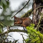 Zöld város kialakítása Miskolc-Tapolca akcióterületen