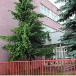 Szabó Lőrinc Általános Iskola energetikai fejlesztése