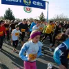 A Barátság Maraton „visszaköltözik” az Egyetemvárosba A Barátság Maraton „visszaköltözik” az Egyetemvárosba