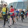 A Barátság Maraton „visszaköltözik” az Egyetemvárosba A Barátság Maraton „visszaköltözik” az Egyetemvárosba