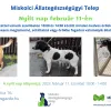 Nyílt nap a Miskolci Állategészségügyi Telepen
