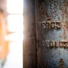 A Fekete kutya és a Weidlich-palota