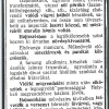 A Fekete kutya és a Weidlich-palota